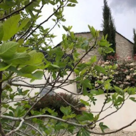 Magnifique Bergerie En Pierre Holiday home Brando